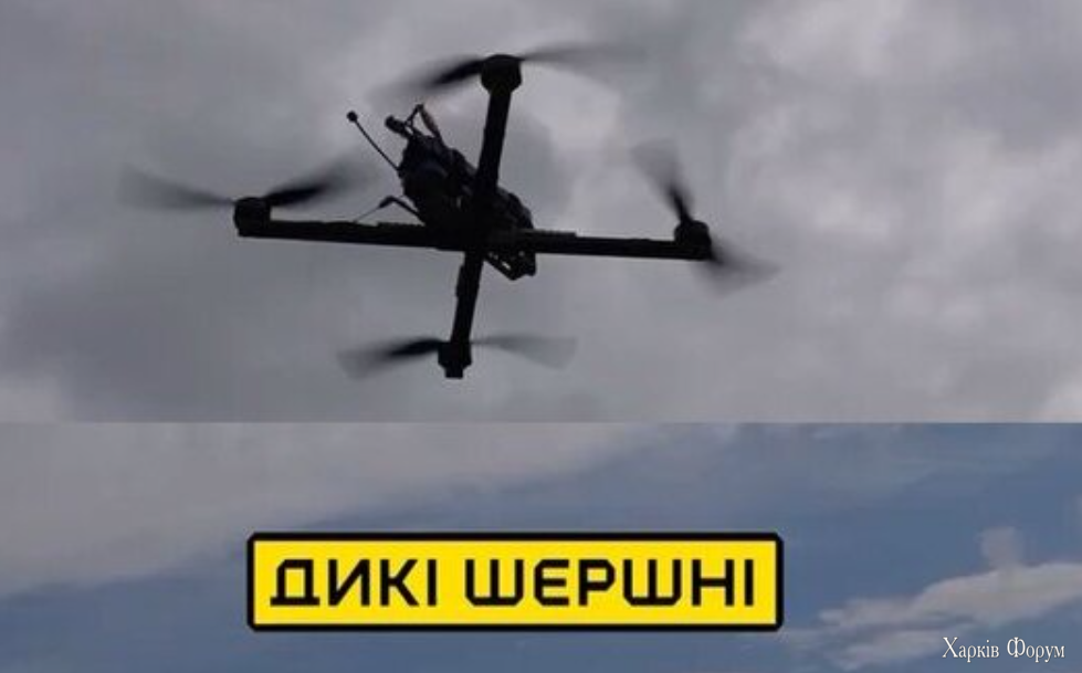 1733829780044.png