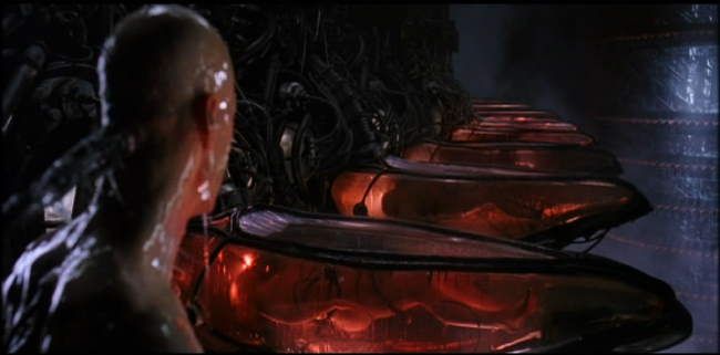 Free_yourself_from_the_Matrix.jpg
